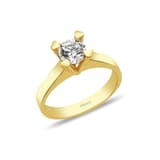 Altın Yüzük 1